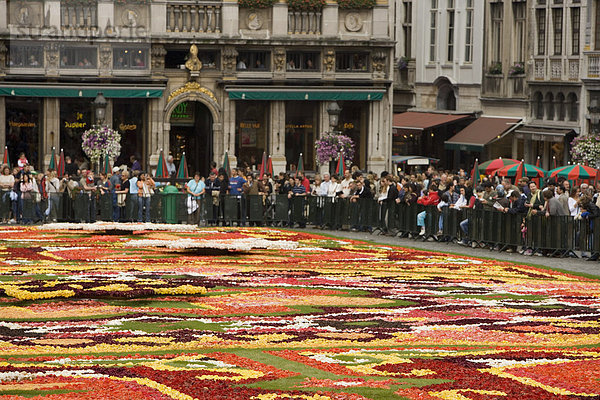 Blume Teppich  Brüssel  Belgien  Europa