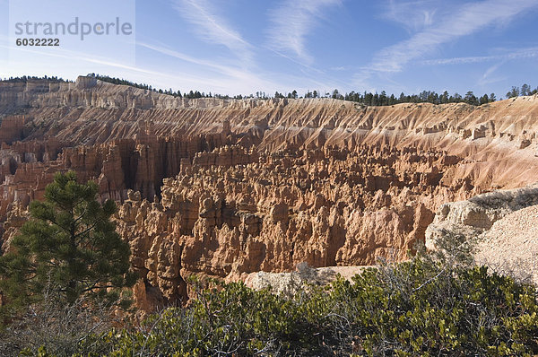 Bryce Canyon Nationalpark  Utah  Vereinigte Staaten von Amerika  Nordamerika