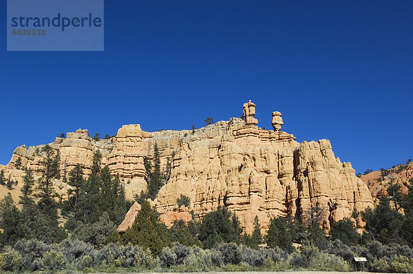 Red Canyon in Dixie National Forest  Utah  Vereinigte Staaten von Amerika  Nordamerika