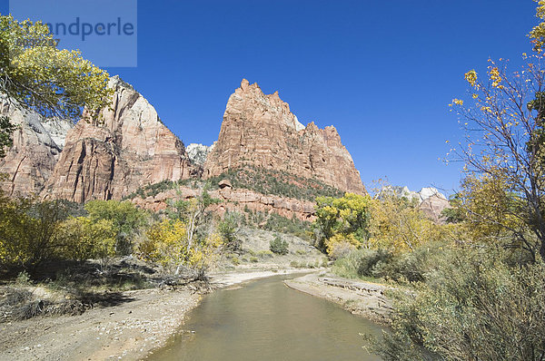 Zion Nationalpark  Utah  Vereinigte Staaten von Amerika  Nordamerika