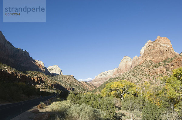 Zion Nationalpark  Utah  Vereinigte Staaten von Amerika  Nordamerika