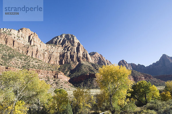 Zion Nationalpark  Utah  Vereinigte Staaten von Amerika  Nordamerika