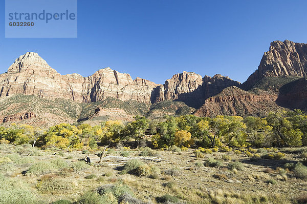 Landschaft in der Nähe von Zion Nationalpark  Utah  Vereinigte Staaten von Amerika  Nordamerika