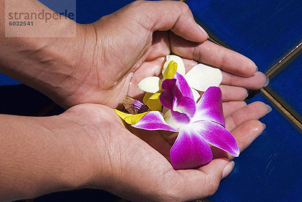 Hände und Blumen  Thailand  Südostasien  Asien