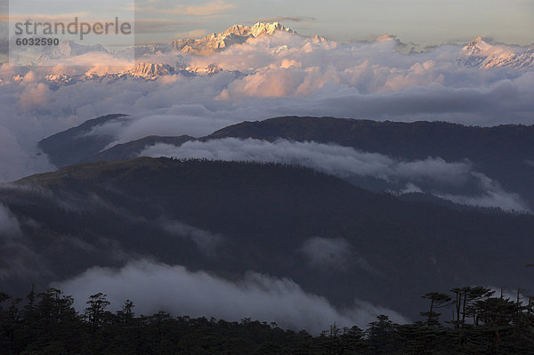 Sonnenuntergang auf schneebedeckten Kangchendzonga mit baum bedeckt Hügel im Vordergrund  Singalila Trek  Sandakphu  Darjeeling-Bereich  im indischen Bundesstaat Westbengalen  Himalaya  Indien  Asien