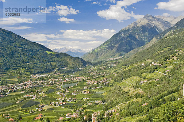 Blick vom Dorf Tirol über Meran  Apfelplantagen und das Tal in Richtung Reschenpass und Österreich  westlichen Dolomiten  Italien  Europa