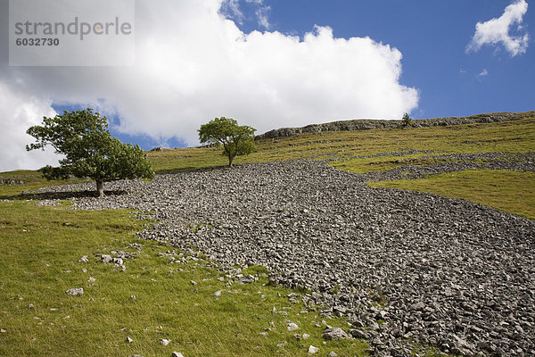 Geröll Steigung und Kalkstein Vale  nahe Conistone  Yorkshire Dales National Park  North Yorkshire  England  Vereinigtes Königreich  Europa