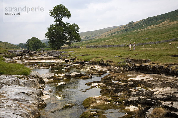 Fluß Wharfe  Upper Wharfedale (Langstrothdale)  in der Nähe von Hubberholme  Yorkshire Dales National Park  North Yorkshire  England  Vereinigtes Königreich  Europa