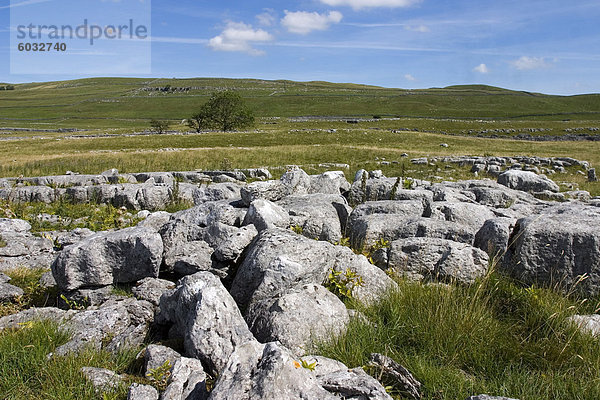 Kalkstein Pflaster bei Lea grün  Grassington  Yorkshire Dales National Park  North Yorkshire  England  Großbritannien  Europa