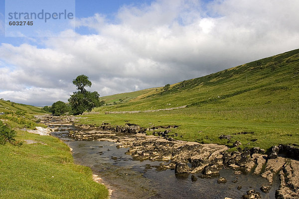 Fluß Wharfe  Upper Wharfedale (Langstrothdale)  in der Nähe von Hubberholme  Yorkshire Dales National Park  North Yorkshire  England  Vereinigtes Königreich  Europa