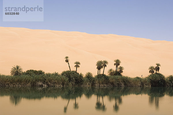 um El Ma See  Erg Awbari  Sahara Wüste  Fessan  Libyen  Nordafrika  Afrika