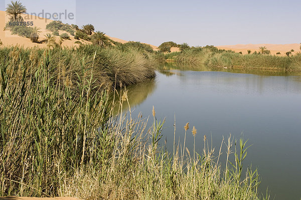 Gemeinschaftlich See  Erg Awbari  Sahara Wüste  Fessan  Libyen  Nordafrika  Afrika