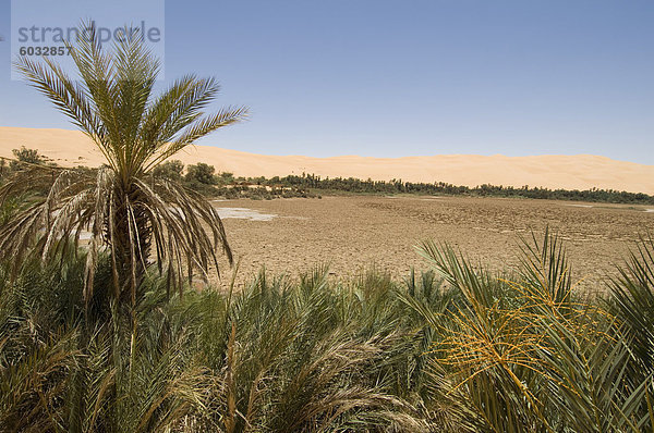 Mandara See  Erg Awbari  Sahara Wüste  Fessan  Libyen  Nordafrika  Afrika