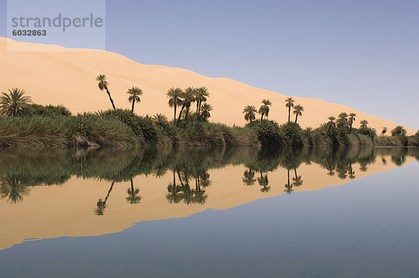 um El Ma See  Erg Awbari  Sahara Wüste  Fessan  Libyen  Nordafrika  Afrika