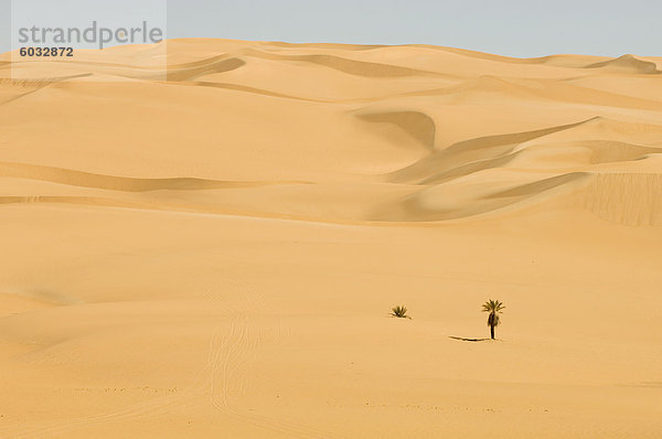 Erg Awbari  Sahara Wüste  Fessan  Libyen  Nordafrika  Afrika