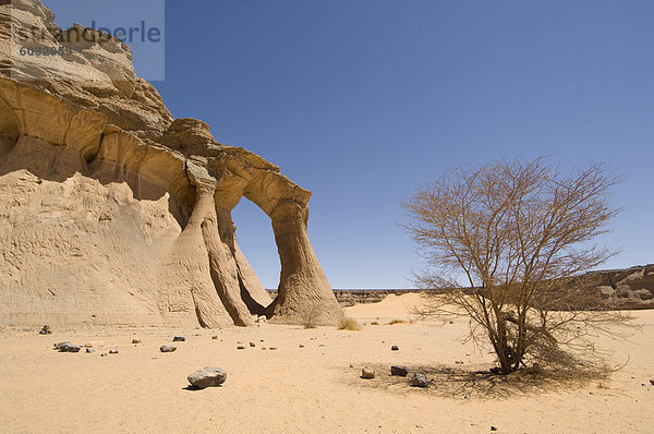 Zinn Ghalega Fels Bildung  Red Rhino Arch  Wadi Teshuinat  Akakus  Sahara Wüste  Fessan  Libyen  Nordafrika  Afrika