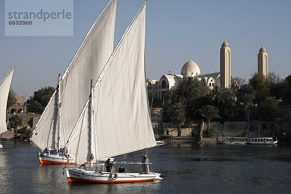 Feluccas Segeln am Fluss Nil bei Assuan  Ägypten  Nordafrika  Afrika