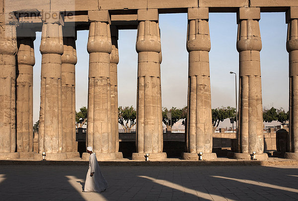 Luxor-Tempel  Luxor  Theben  UNESCO World Heritage Site  Ägypten  Nordafrika  Afrika