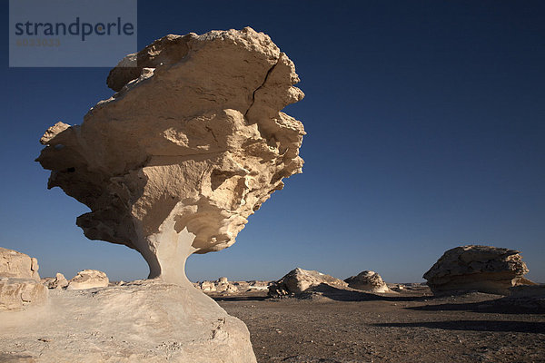 Die weiße Wüste  Farafra Oase  Ägypten  Nordafrika  Afrika