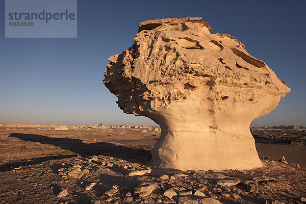 Die weiße Wüste  Farafra Oase  Ägypten  Nordafrika  Afrika