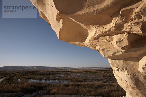 Mit Blick auf Feuchtgebiet an der Oase Farafra  Ägypten  Nordafrika  Afrika