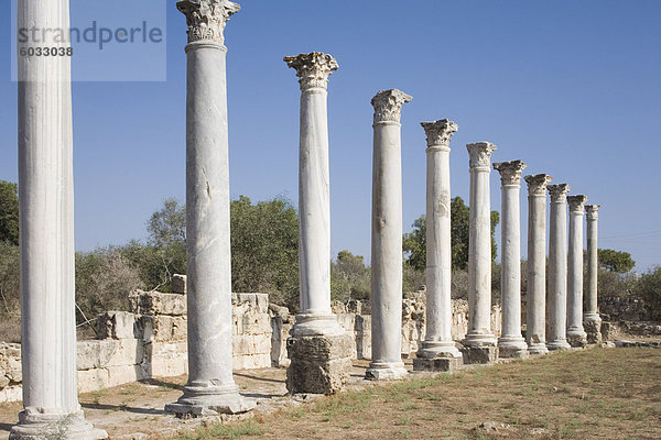 Die Ausgrabungsstätte von Salamis  Salamis  Nord-Zypern  Europa