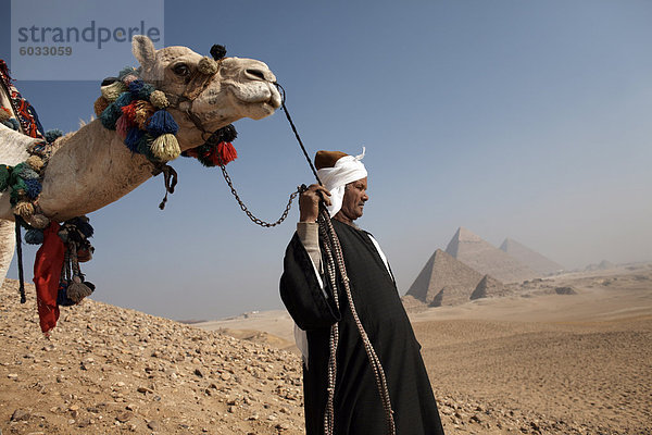 Ein Beduinen-Reiseführer mit seinem Kamel  mit Blick auf das Pyramiden von Gizeh  Kairo  Ägypten  Nordafrika  Afrika