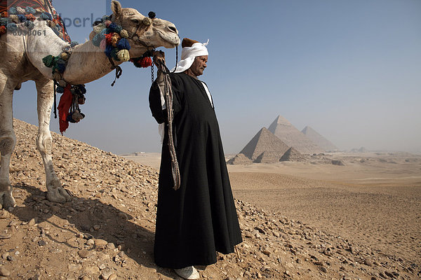 Ein Beduinen-Reiseführer mit seinem Kamel  mit Blick auf das Pyramiden von Gizeh  Kairo  Ägypten  Nordafrika  Afrika