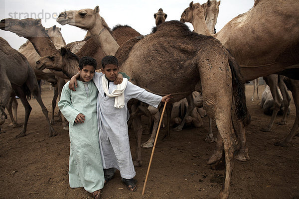 Birqash Kamel Markt  Kairo  Ägypten  Nordafrika  Afrika