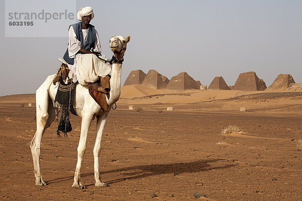 Ein Führer und ein Kamel vor den Pyramiden von Meroe  Sudan beliebteste Touristenattraktion  Bagrawiyah  Sudan  Afrika stehen
