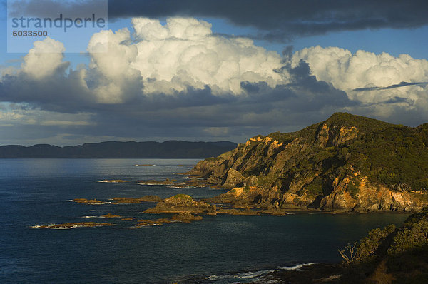 Küste  Bay of Islands Nordinsel  Neuseeland  Pazifik