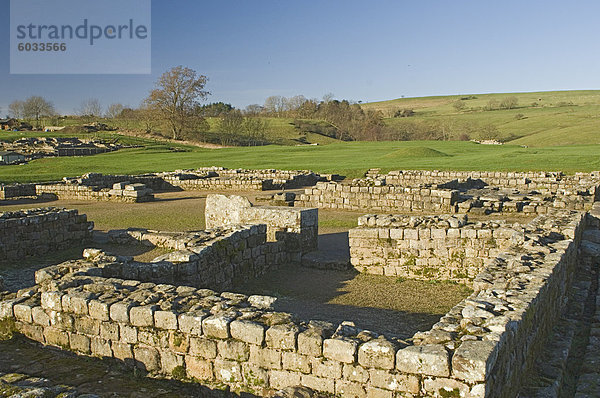 Hauptsitz  römische Siedlung und Festung in Vindolanda  Roman Wall Süd  UNESCO Weltkulturerbe  Northumbria  England  Vereinigtes Königreich  Europa
