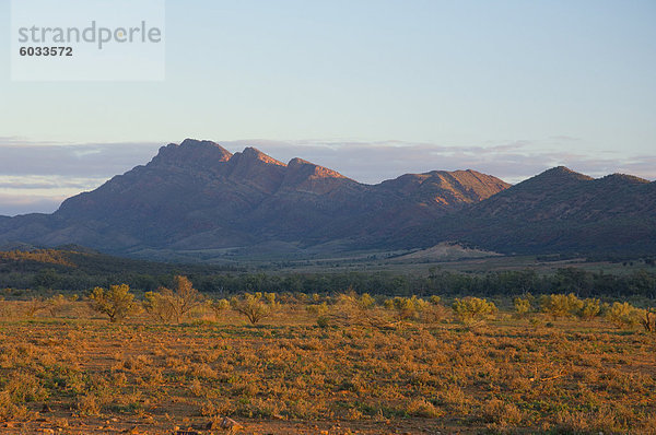 Flinders Ranges  Flinders Ranges Nationalpark  Südaustralien  Australien  Pazifik