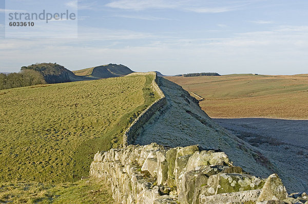 Blick nach Westen von Kings Hügel zu lag Wood  Hotbank und Cuddy Crags  Hadrianswall  UNESCO Weltkulturerbe  Northumbria  England  Vereinigtes Königreich  Europa