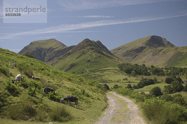 Newlands Valley  Lake District  Cumbria  England  Vereinigtes Königreich  Europa