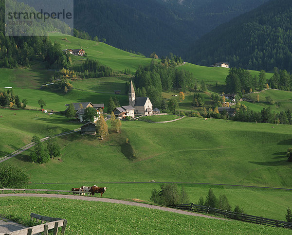 Europa Gebäude Agrarland Kirche Dolomiten Geographie Trentino Südtirol Italien