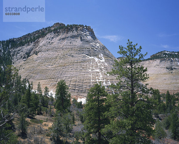 Schachbrett Mesa im Zion-Nationalpark in Utah  Vereinigte Staaten von Amerika  Nordamerika