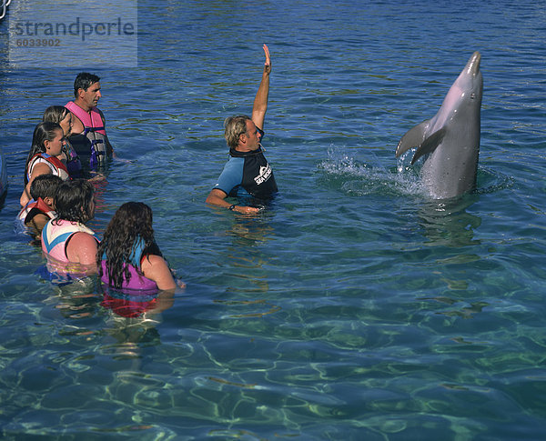 Kleine Gruppe von Menschen stehen im Wasser  Schwimmen mit Delphinen  Sea World  Surfers Paradise  Queensland  Australien  Pazifik