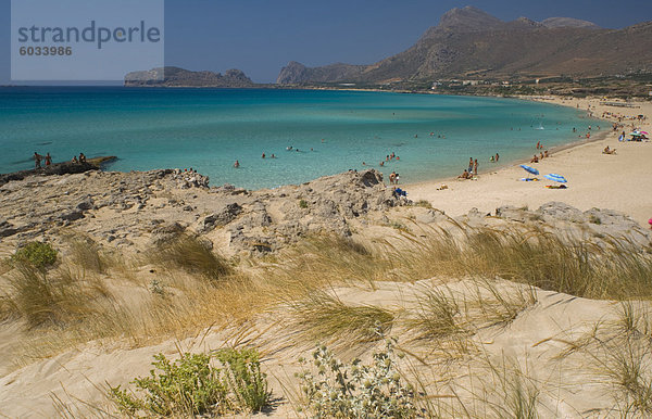 Strandhafer wächst in Sanddünen entlang des Strandes bei Phalassarna (Falassarna) auf der westlichen Küste von Kreta  griechische Inseln  Griechenland  Europa