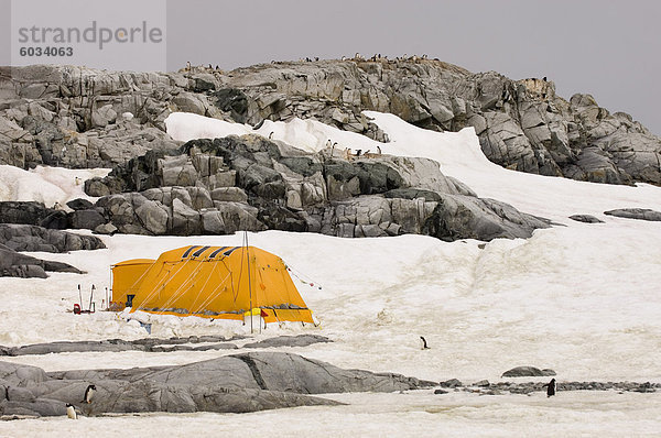 Wissenschaftler Camp  Petermann-Insel  Lemaire-Kanal  Antarktische Halbinsel  Antarktis  Polarregionen