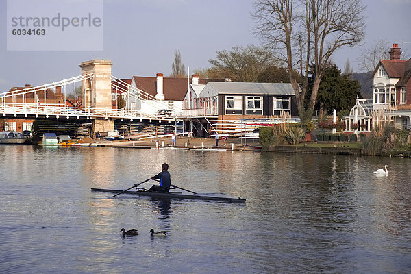 Mann Rudern auf Themse nahe Rowing Club  Marlow Hängebrücke im Hintergrund  Marlow  Buckinghamshire  England  Vereinigtes Königreich  Europa