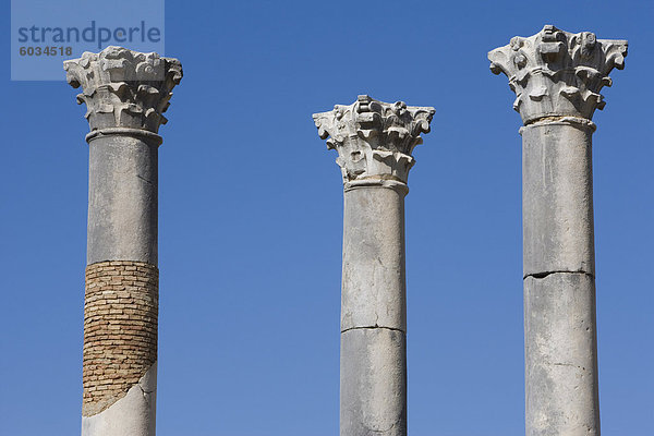 Nordafrika Gebäude Säule Vernichtung UNESCO-Welterbe Afrika Marokko Volubilis