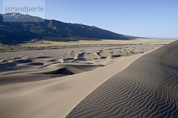 Sanddünen in der Morgendämmerung  Great Sand Dunes Narional Nationalpark und Preserve  Colorado  Vereinigte Staaten von Amerika  Nordamerika