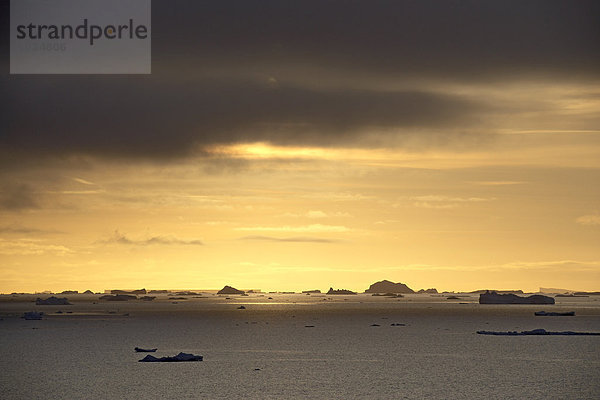 Eisberge bei Sonnenuntergang vor der Antarktischen Halbinsel  Antarktis  Polarregionen