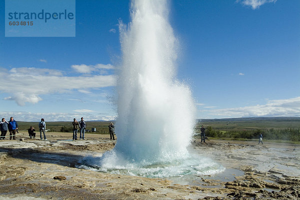 Geysir  Island  Polarregionen