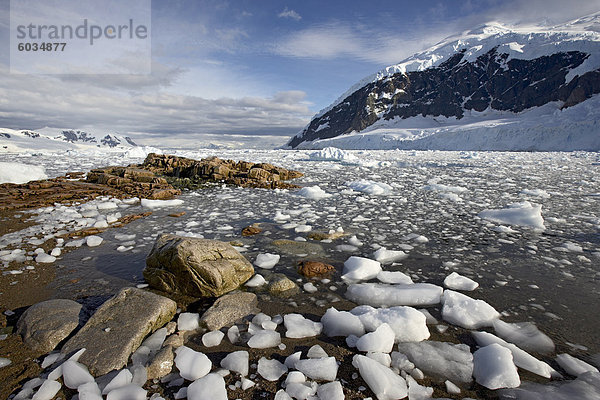 Neko Harbor  Antarktische Halbinsel  Antarktis  Polarregionen