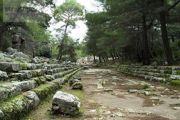 Griechische Ruinen  Phaselis  Anatolien  Türkei  Kleinasien  Eurasien