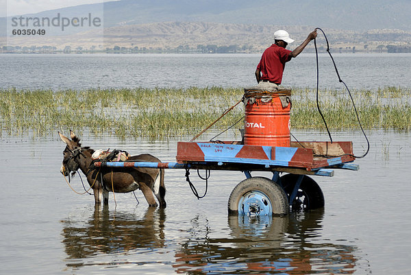 Wasser Träger  Lake Awassa  Äthiopien  Afrika