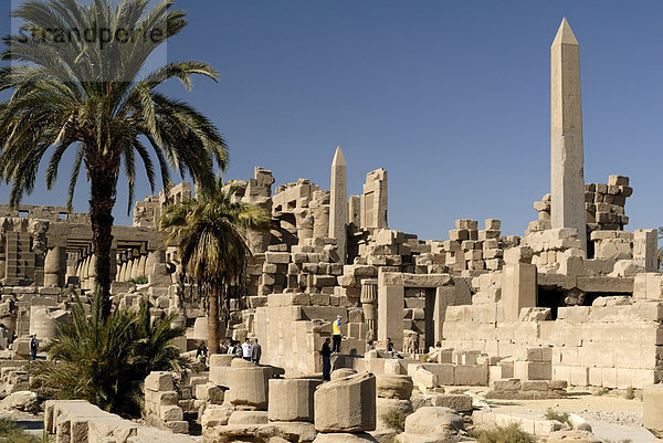 Obelisken  Tempel von Karnak  in der Nähe von Luxor  Theben  UNESCO World Heritage Site  Ägypten  Nordafrika  Afrika