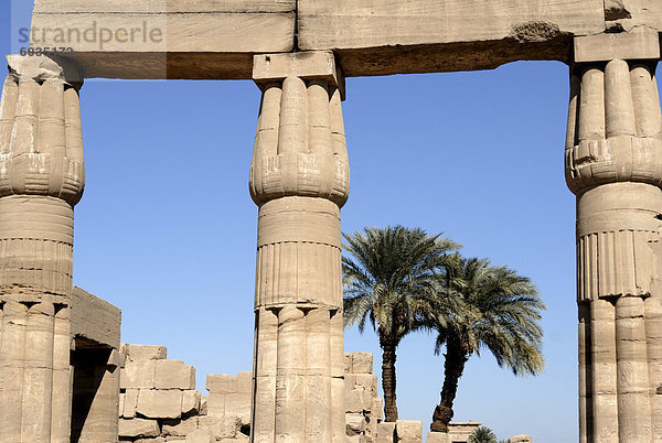 Tempel von Karnak  in der Nähe von Luxor  Theben  UNESCO World Heritage Site  Ägypten  Nordafrika  Afrika